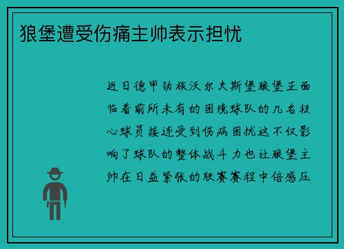 狼堡遭受伤痛主帅表示担忧